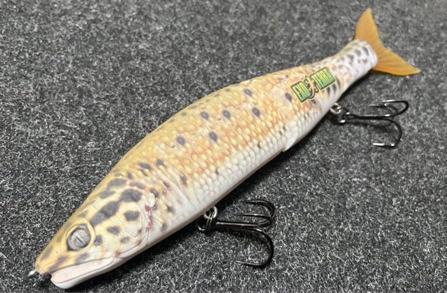 ジョイクロシフト183 アクアリウム東京 限定レオパカラー